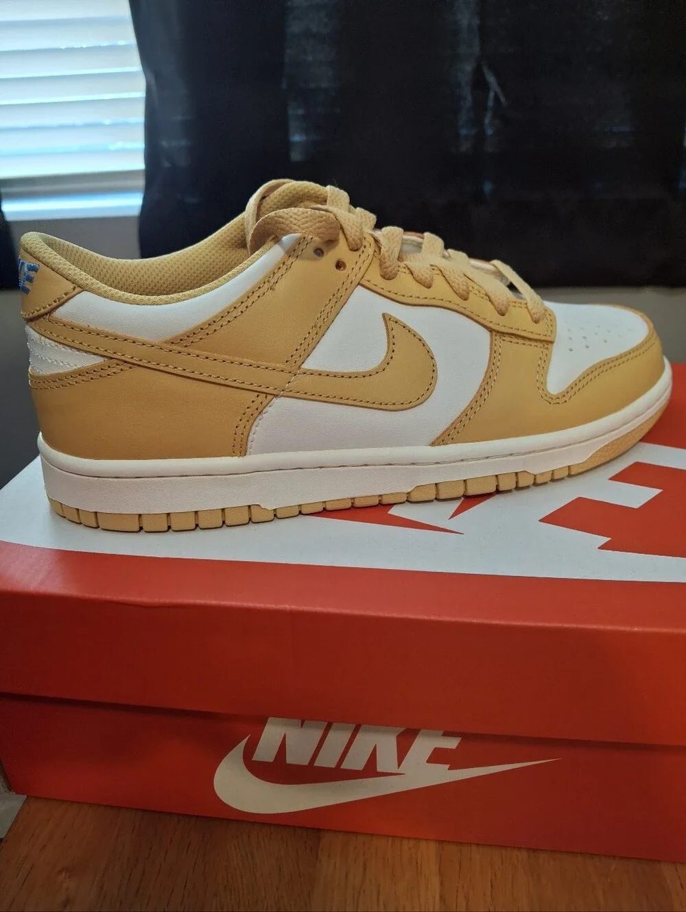 Nike Dunk Low ( GS)